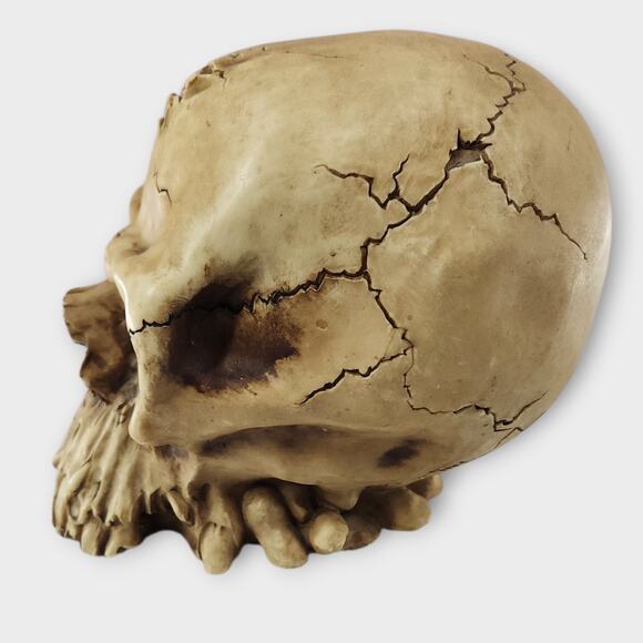 Cracked Skull Money Bank Statue Pirate Evil Sunken Eye Sockets VTG Y2K 1998 - Picture 5 of 8